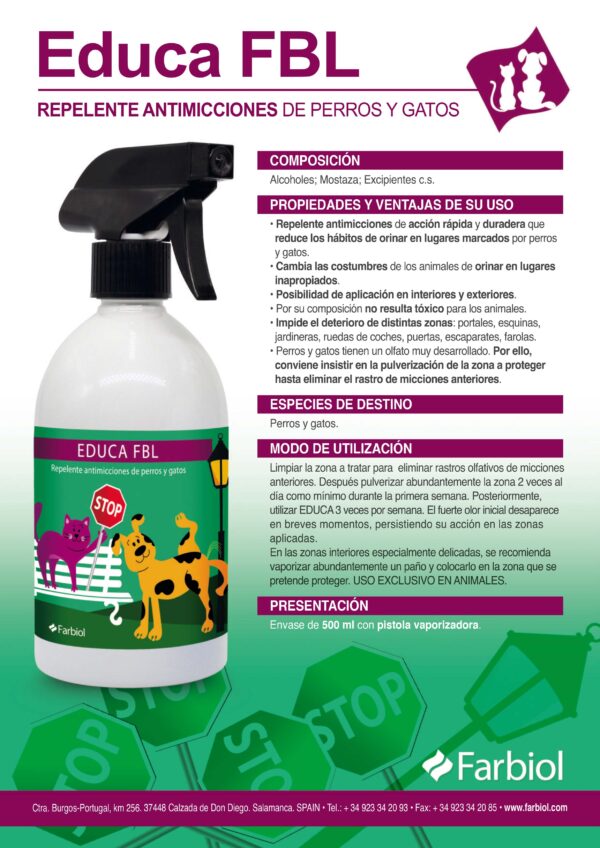 EDUCA FBL - Imagen 2