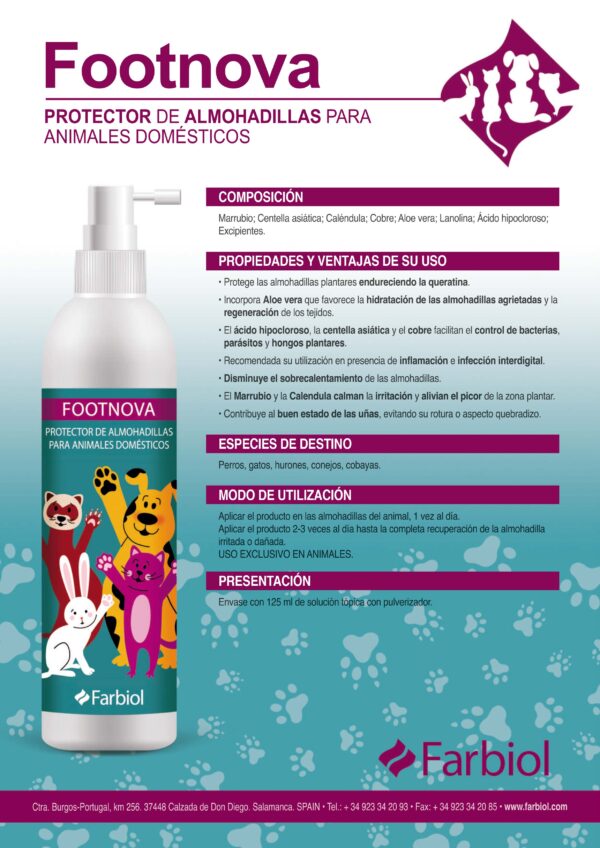 FOOTNOVA FBL - Imagen 2