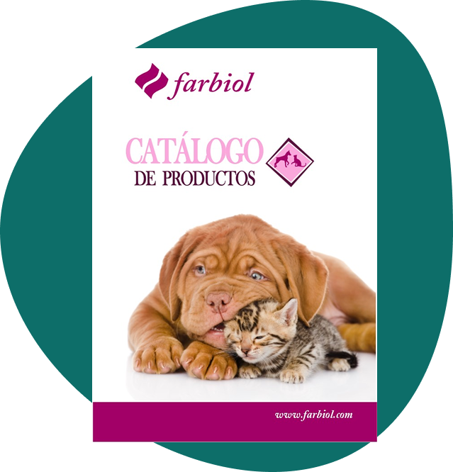 catalogo portada