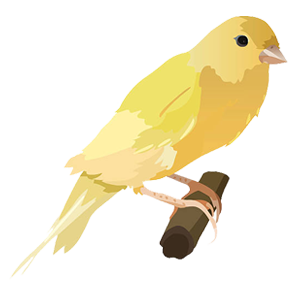 Pájaros
